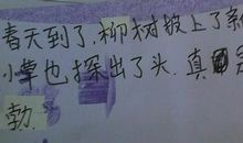 描写春天的优美句子有哪些