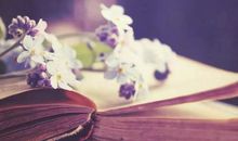 当你迷茫时看一下