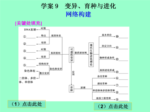 高中生第二轮复习应处理好六种关系
