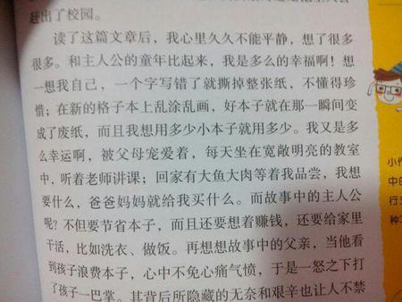 阅读《笑猫日记》后的200个单词