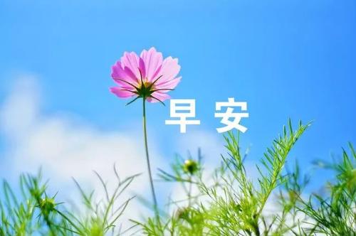 微信早上励志问候