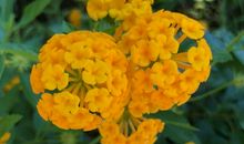 经典语录：年年岁岁花相似，岁岁年年人不同