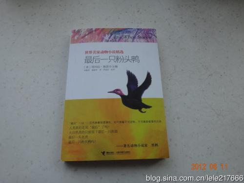 关于保护动物的思考