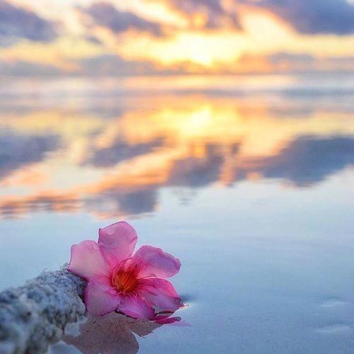 沉思句