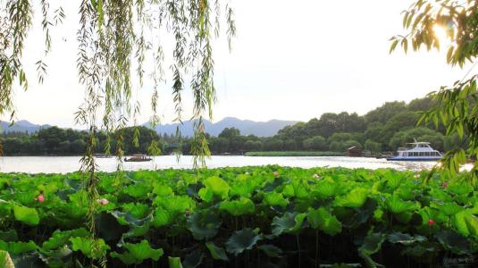 一个很好的部分描述了夏天的风景