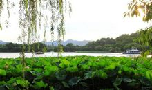 描写夏天景色的好段