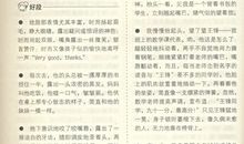 描写同学的精彩句段