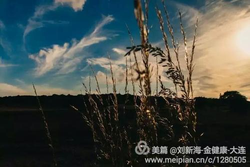 为什么许多人一生都没有意识到自己的真正潜力？