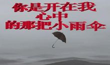 情人节送给另一半的祝福语句子