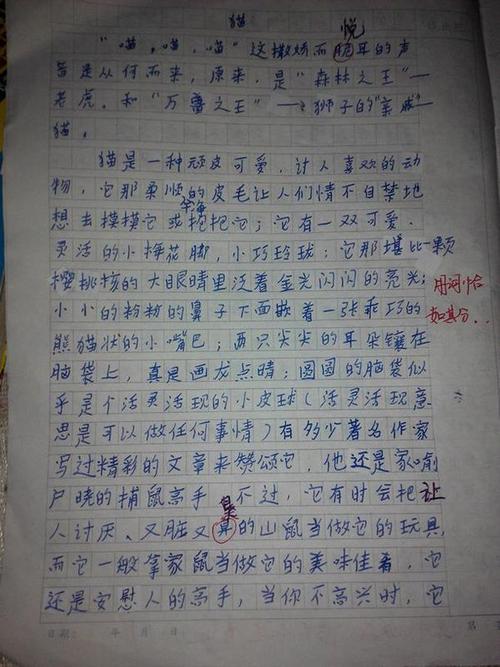 矛盾我作文500