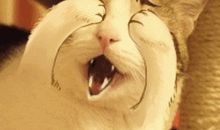 你得不到，是因为不够想要