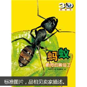 蚂蚁的句子
