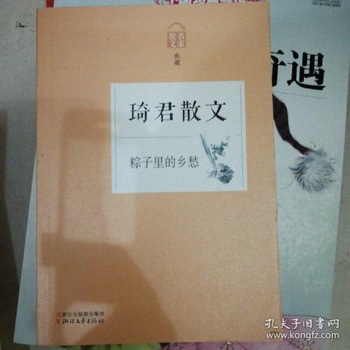 齐军：Z子乡愁