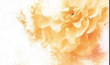 毕淑敏：婚姻鞋