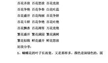 描写水仙花的好词好句摘抄