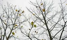 如何让自己变得更优质？