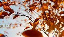 别看不起小事，每一段艰难都是磨练