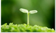 悟透人性弱点，你可掌控一切