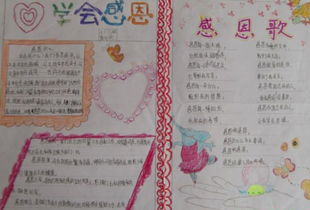 我学会了感恩