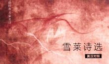 雪莱的诗