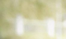 拿着鸡毛当令箭的歇后语