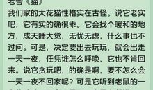 描写雪景的好句子