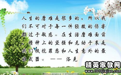 班主任的励志评论（2）