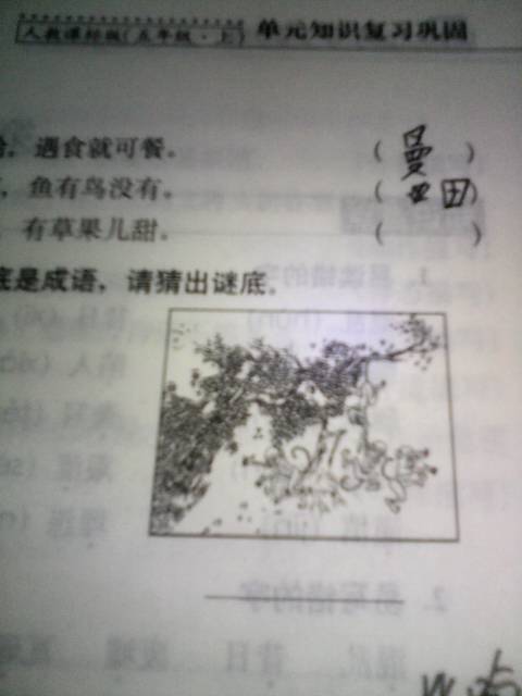 关于在水中钓鱼的寓言谚语
