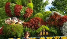 趁着我们还年轻