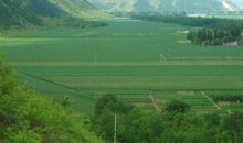 描写家乡景色的好段