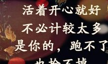 描写开心的语句