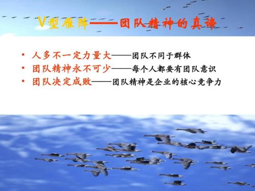 体现团队精神的口号