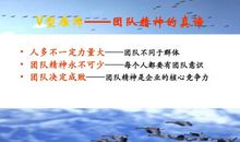 体现团队精神的口号