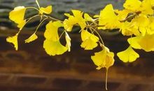 所谓幸福，从来没有答案