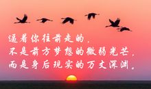 梦想与现实的名言