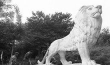 描写石狮子的句子