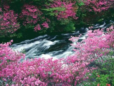 落花流水
