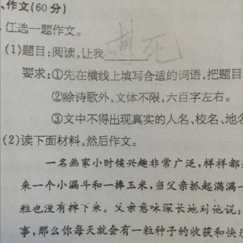 初中100字