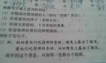 形容嘴巴的词语和句子