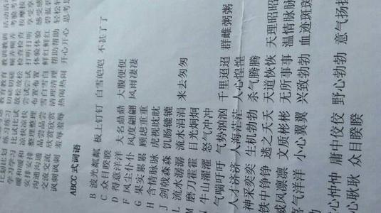 各种习语