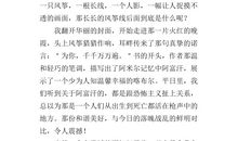 《追风筝的人》读后感