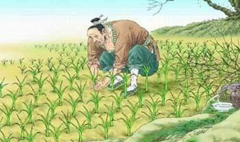 寓言的成语