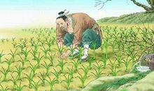 寓言故事的成语