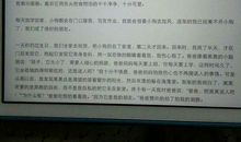 描写动物的拟人句