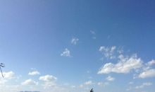 用天高云淡造句