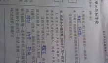 用动词写一段话300字