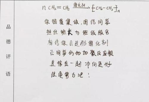 高中老师的评语（2）