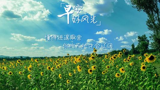 朋友的格言