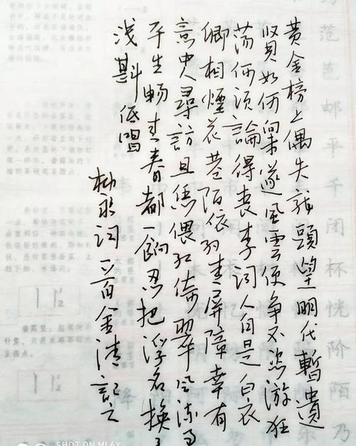 经济实惠