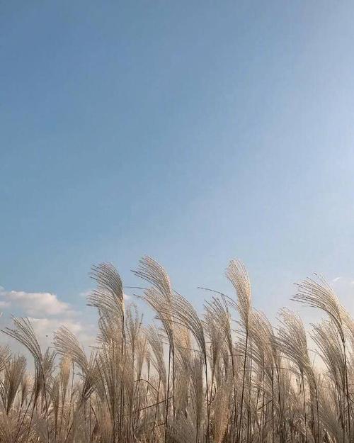 在这个富有的第二代人比普通人更加努力的时代，您将如何突破？